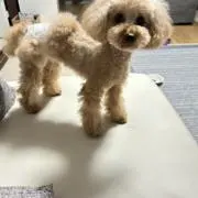 みこママの画像