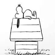 もんたん