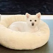 HPPの画像