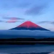 あんど〜なつの画像