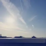 TTの画像
