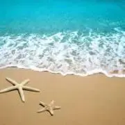 ハック⭐︎プロフ必読の画像