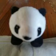パンダ丸の画像