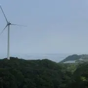 麒麟