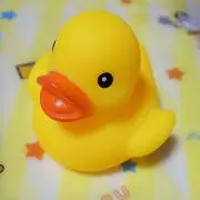 チャハの画像
