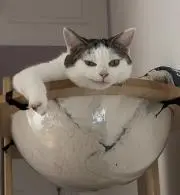 炭水化物大好き