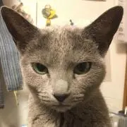 み