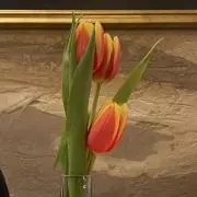 m__の画像