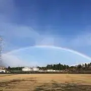 cotoの画像