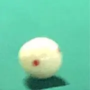 mの画像