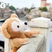 soraの画像