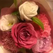 じゅんぴの画像