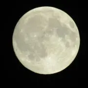 りりん