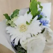 しらたま