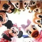 mikimini☆の画像