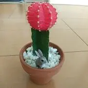 グーフィーの画像