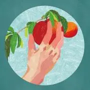 Sunaの画像