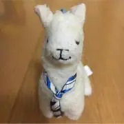 めみっきー(=^. .^=)