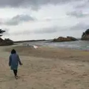 Miyuの画像
