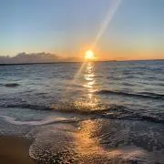 Bの画像