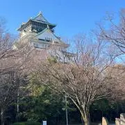 はいじ(プロフ確認必須)の画像