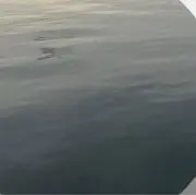 凪の画像