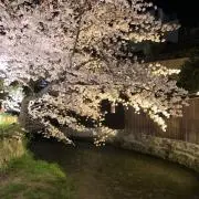 リップスの画像