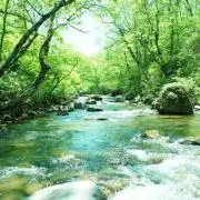 沼の画像