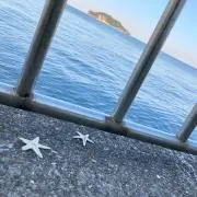 さっちの画像