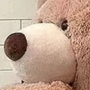 Ｊの画像