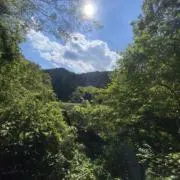 らむねの画像