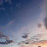 うさみの画像