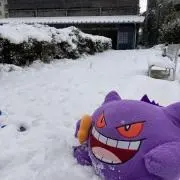 Yasinokiの画像