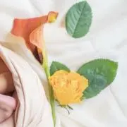 さき✨フォロー割リピ割実施中✨の画像