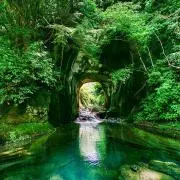 t gardenの画像