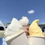 ♡とことこ¨̮♡
