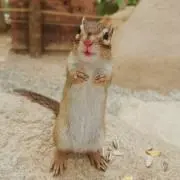 ♡の画像