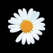S U