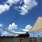 だいふくの画像