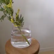 Moriの画像
