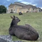 まるくの画像