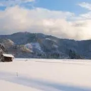 ようの画像