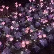 Sの画像