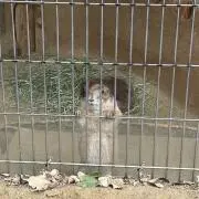 りの画像