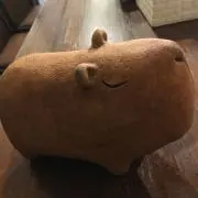 Ruruの画像