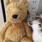 ココナツコの画像