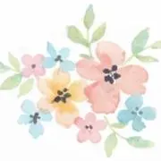 aoiの画像