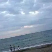 リンゴスタ