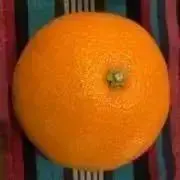 mikanの画像
