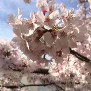 ちい